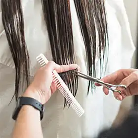 レディースカットの画像